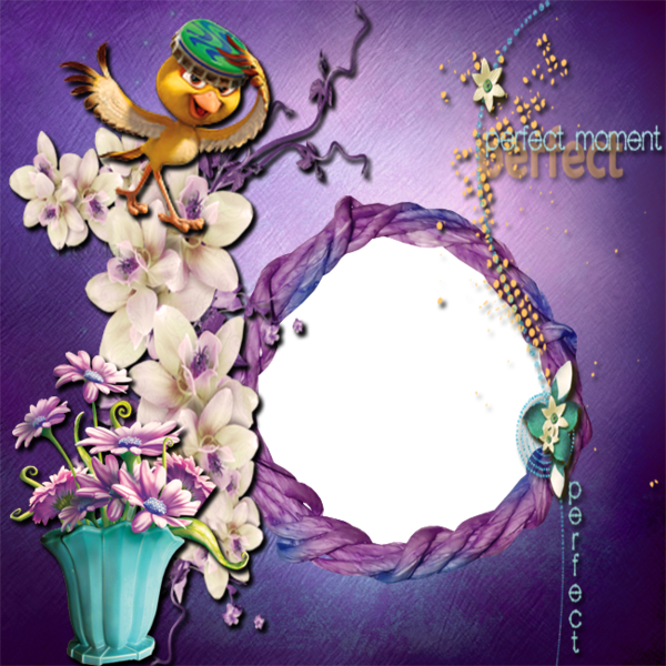 QP pour vous